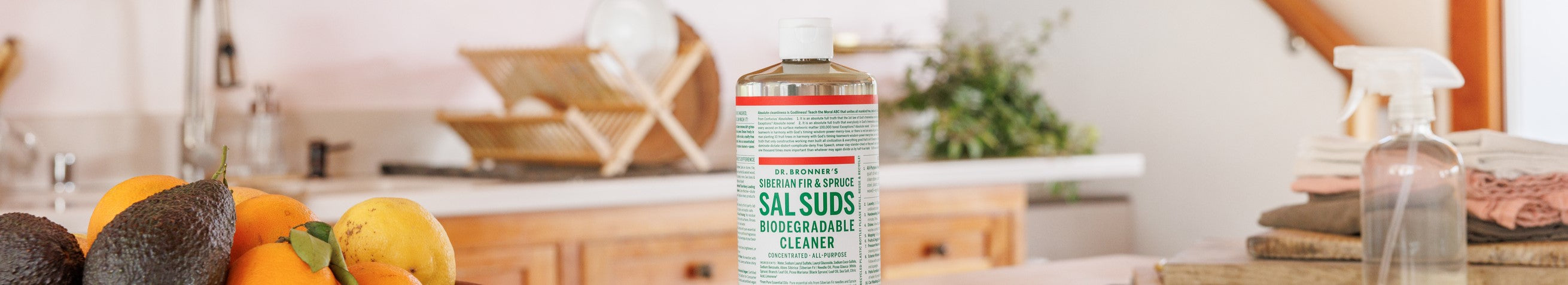 sal suds