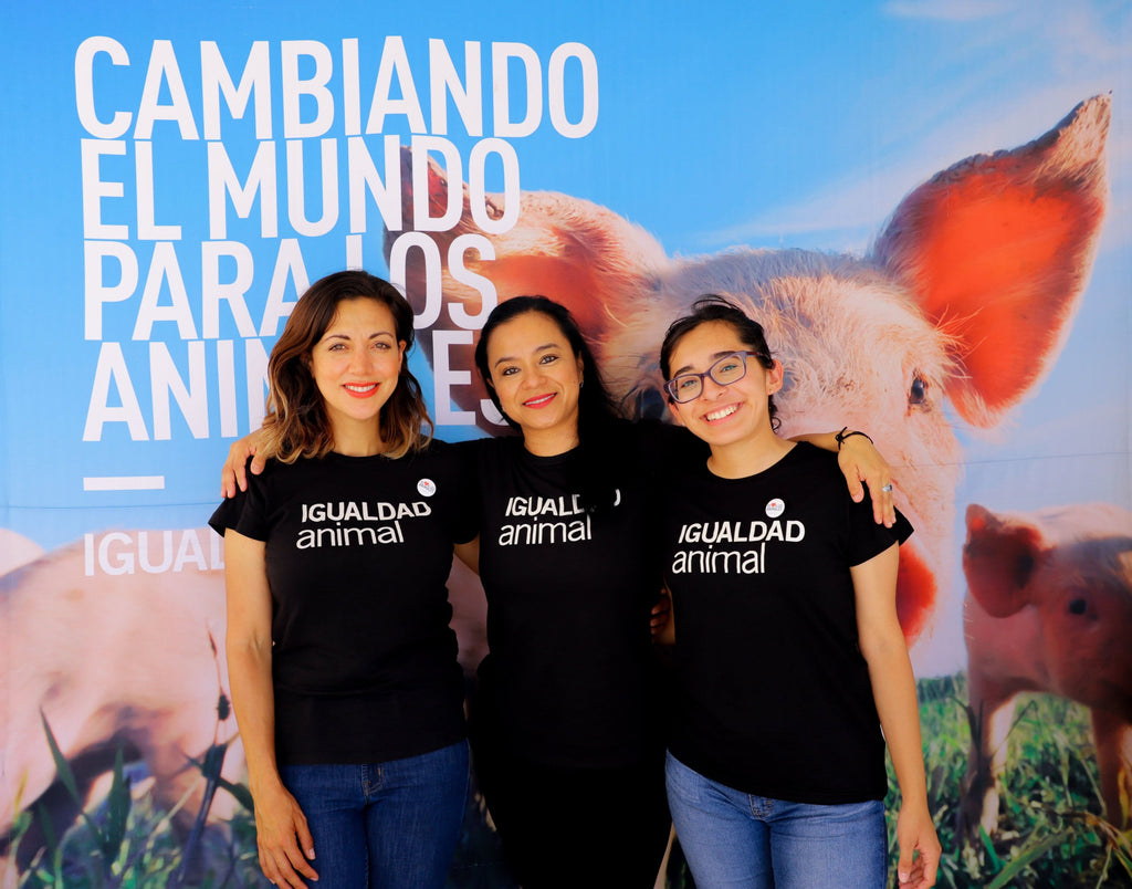 Igualdad Animal