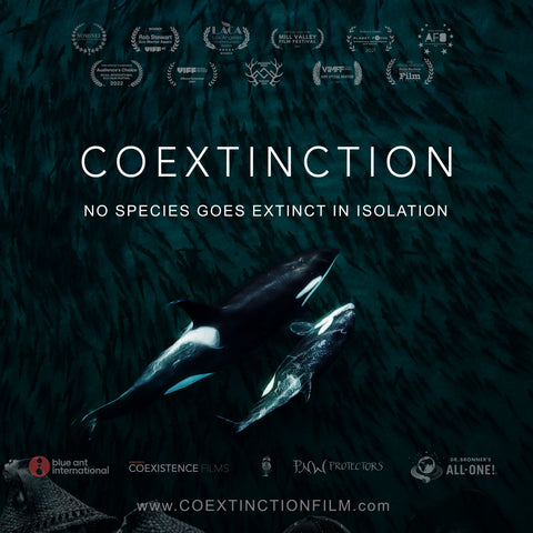 Coextinction