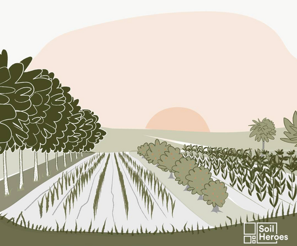 Soil Heroes
